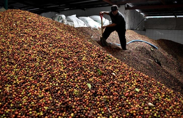 China Markets Panic, Tesla Beats, Coffee Soars, Apple Due - What's Moving Markets