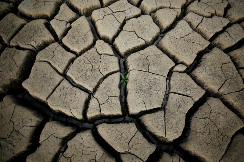 Analysis-UN climate report increases urgency for green investment funds