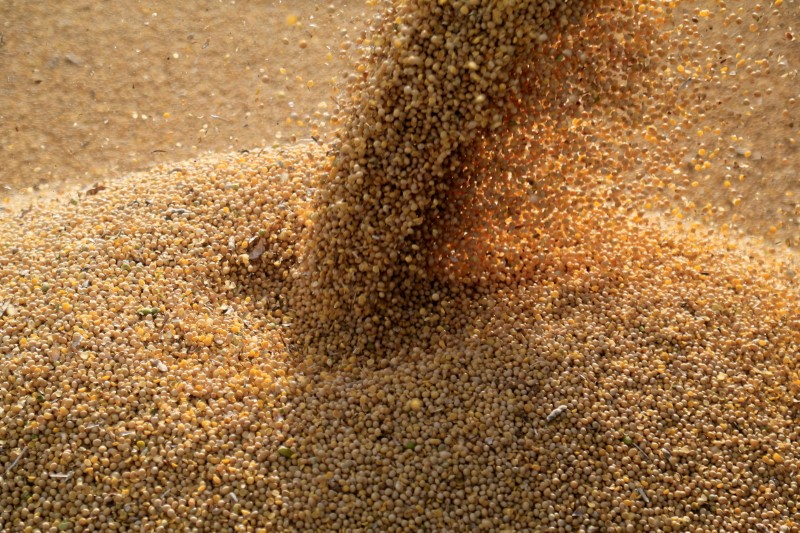 Hurricane Ida damages Louisiana grain terminal, disrupts exports