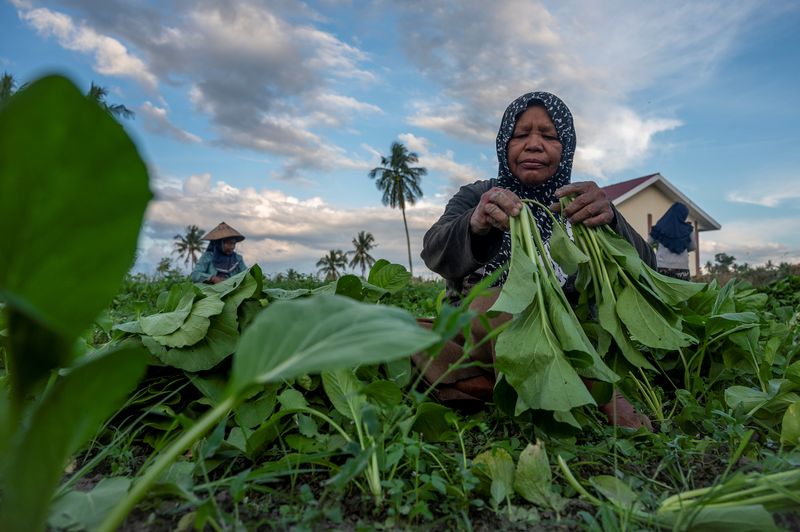 Indonesia sees Q3 GDP growth at 4.5% y/y, warns of future headwinds