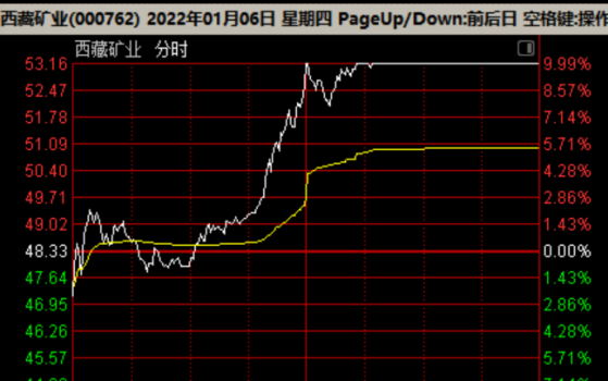 110位机构人现身西藏矿业调研会,一边是调研进行,一边是股价冲涨停,8个小时究竟调研了什么