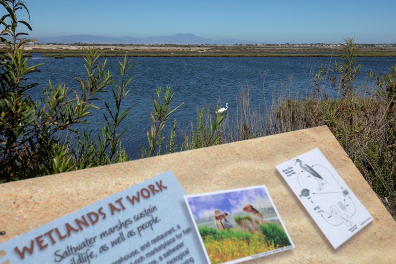 California desalination plant suffers setback with recommendation for denial