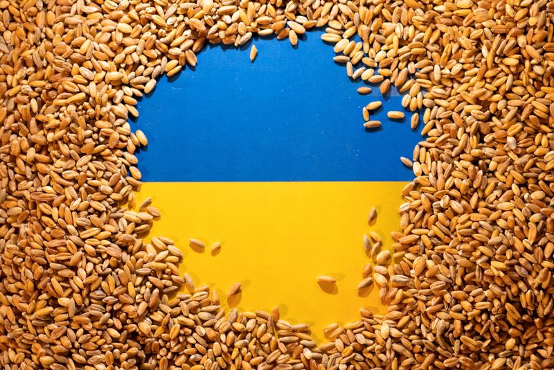 Biden touts grain silos on Ukraine border to help exports; Kyiv wants ports open