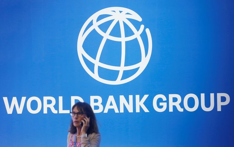 World Bank chafes at lower capital requirements recommended in G20 report - sources