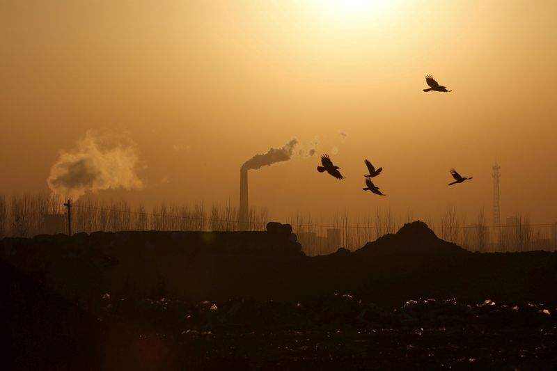 China June industrial profits +0.8% yr/yr - statistics bureau